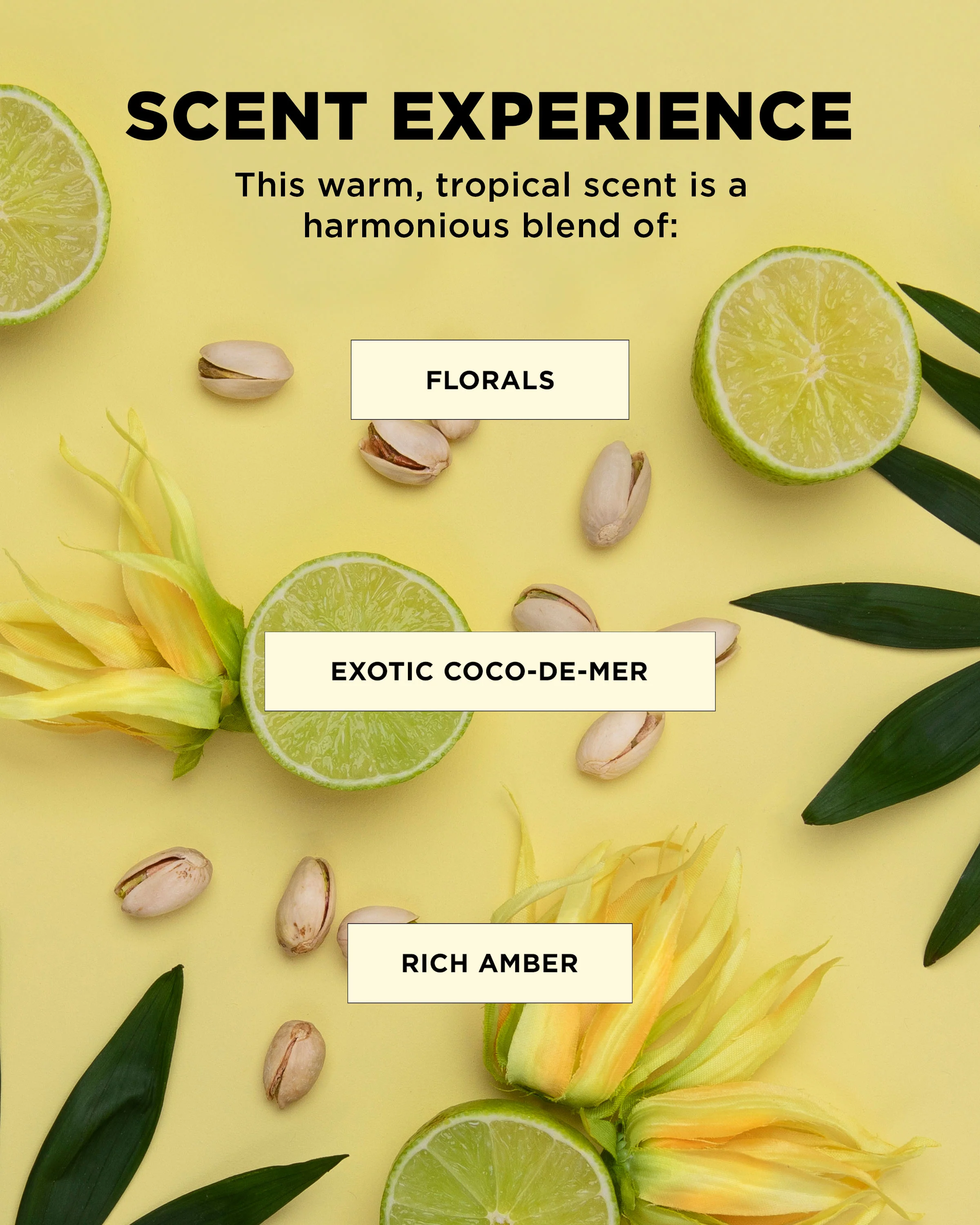 Hair in the Clouds • Curl-Defining Kit - Image 8