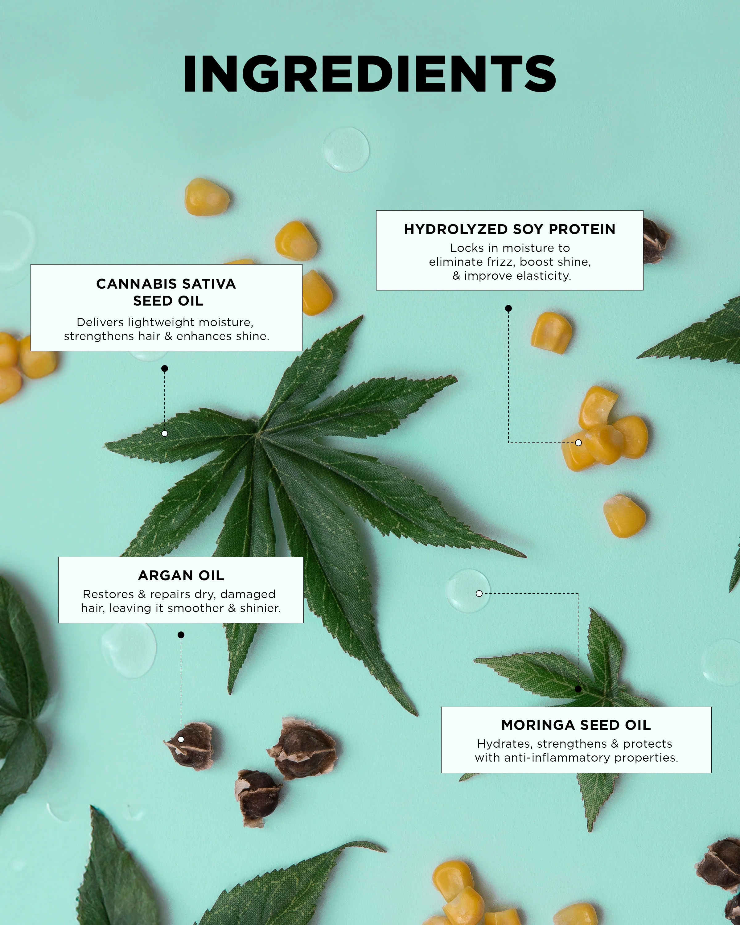 Hair in the Clouds • Hydration & Shine Kit - Image 8